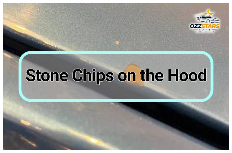 Stone Chips on the Hood