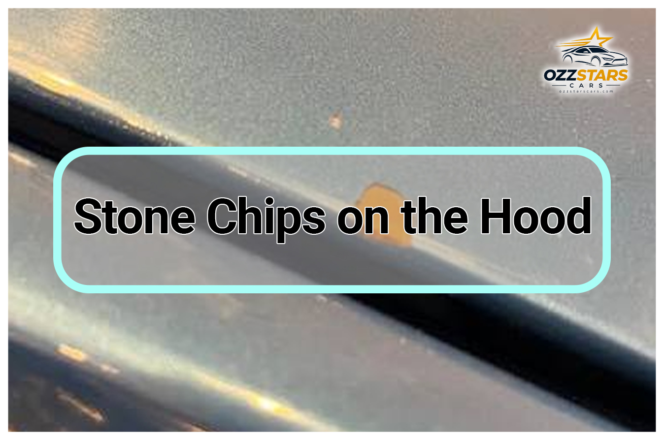 Stone Chips on the Hood