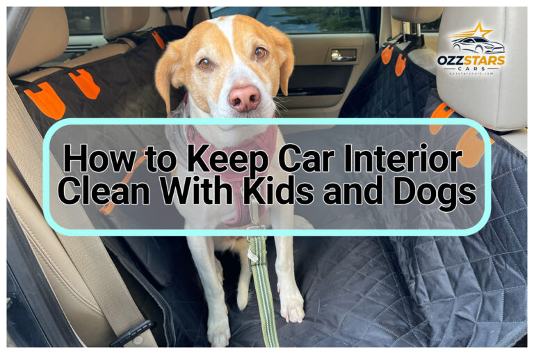 How to Keep Car Interior Clean With Kids and Dogs