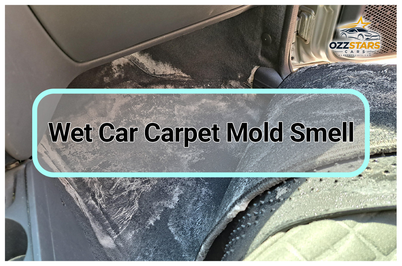 Wet Car Carpet Mold Smell